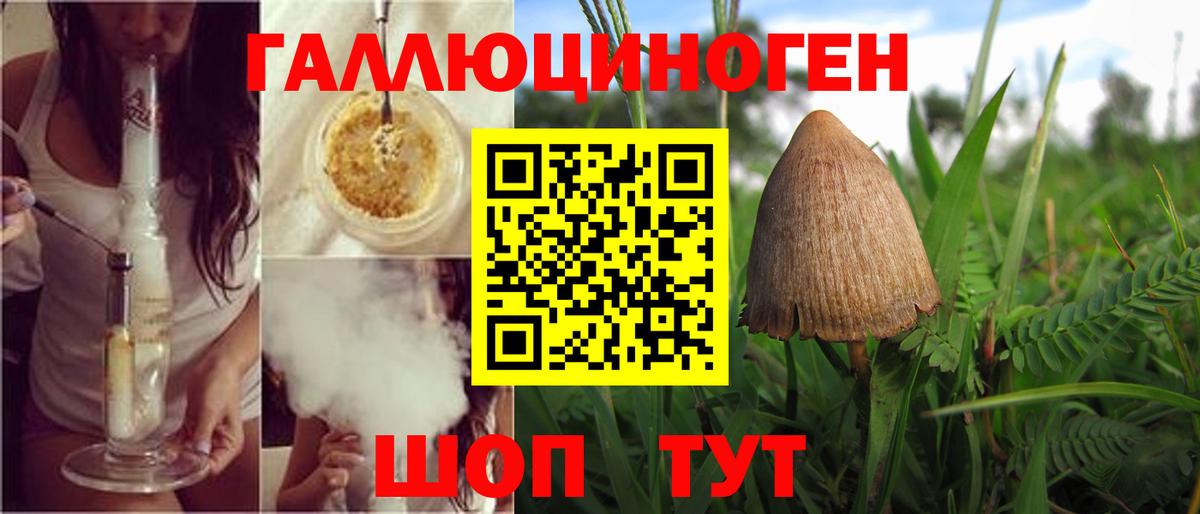 Галлюциногенные грибы MAGIC MUSHROOMS  Вход с VPN  Петрозаводск  Псилоцибиновые грибы Psilocybine cubensis 