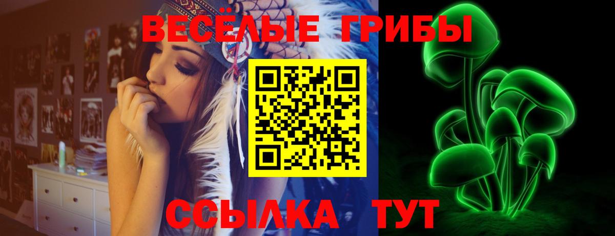 Галлюциногенные грибы GOLDEN TEACHER Петрозаводск