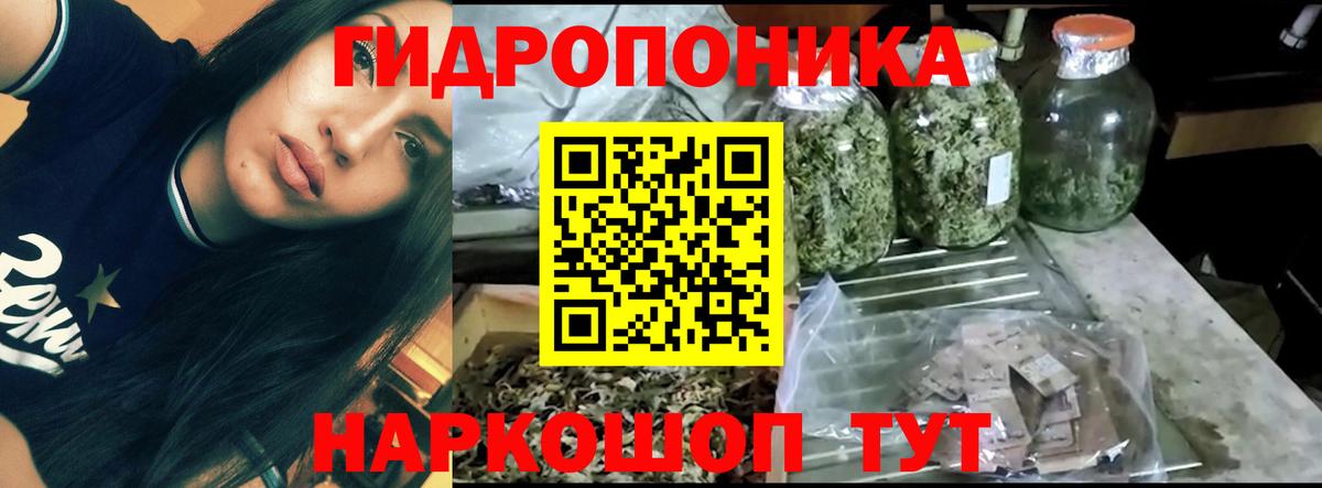 Конопля Bruce Banner  Вход с VPN  Петрозаводск  Бошки Шишки LSD WEED  Канабис конопля  Шишки марихуана тримм 
